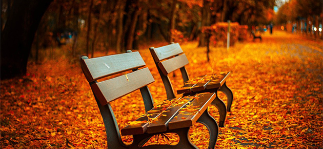 秋のデートは公園・庭園で！季節を感じる楽しみ方