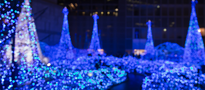 世界最大の光の世界「ハウステンボス」でクリスマスプロポーズを