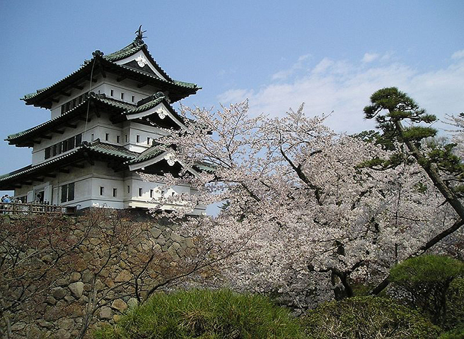 5月でも桜が満開な弘前城
