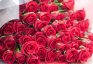プロポーズの定番「バラの花」は、色によって意味や花言葉が変わる？